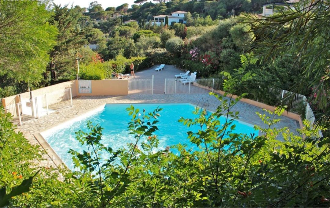 Appartamento Studio Bord De Mer Terrasse Vue Mer Piscine Sainte-Maxime Esterno foto